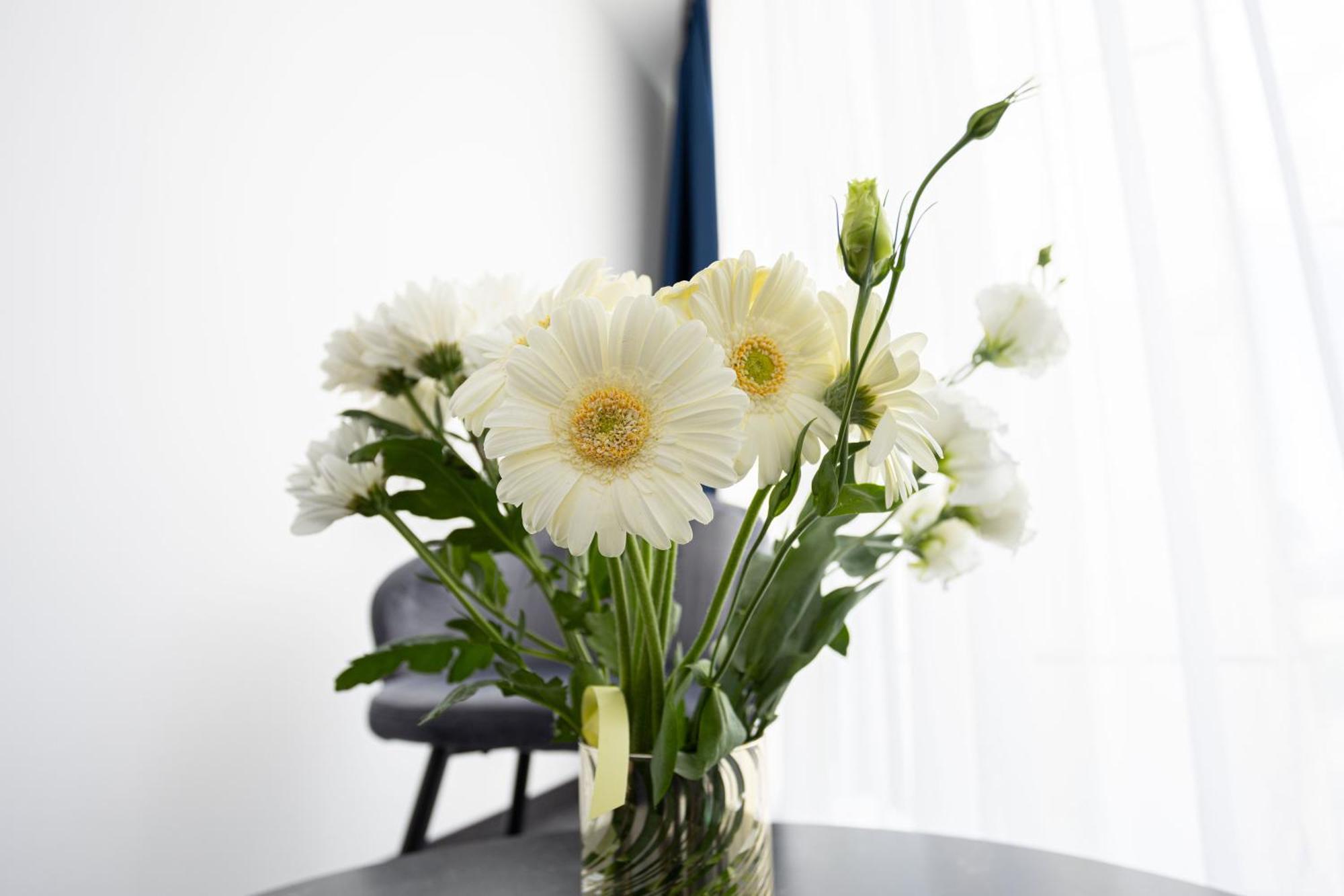 Blue Star Luxury Hotel Sofya Dış mekan fotoğraf